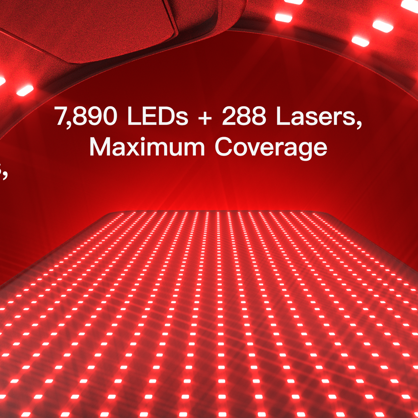 LASER&LED Light Therapy Bag