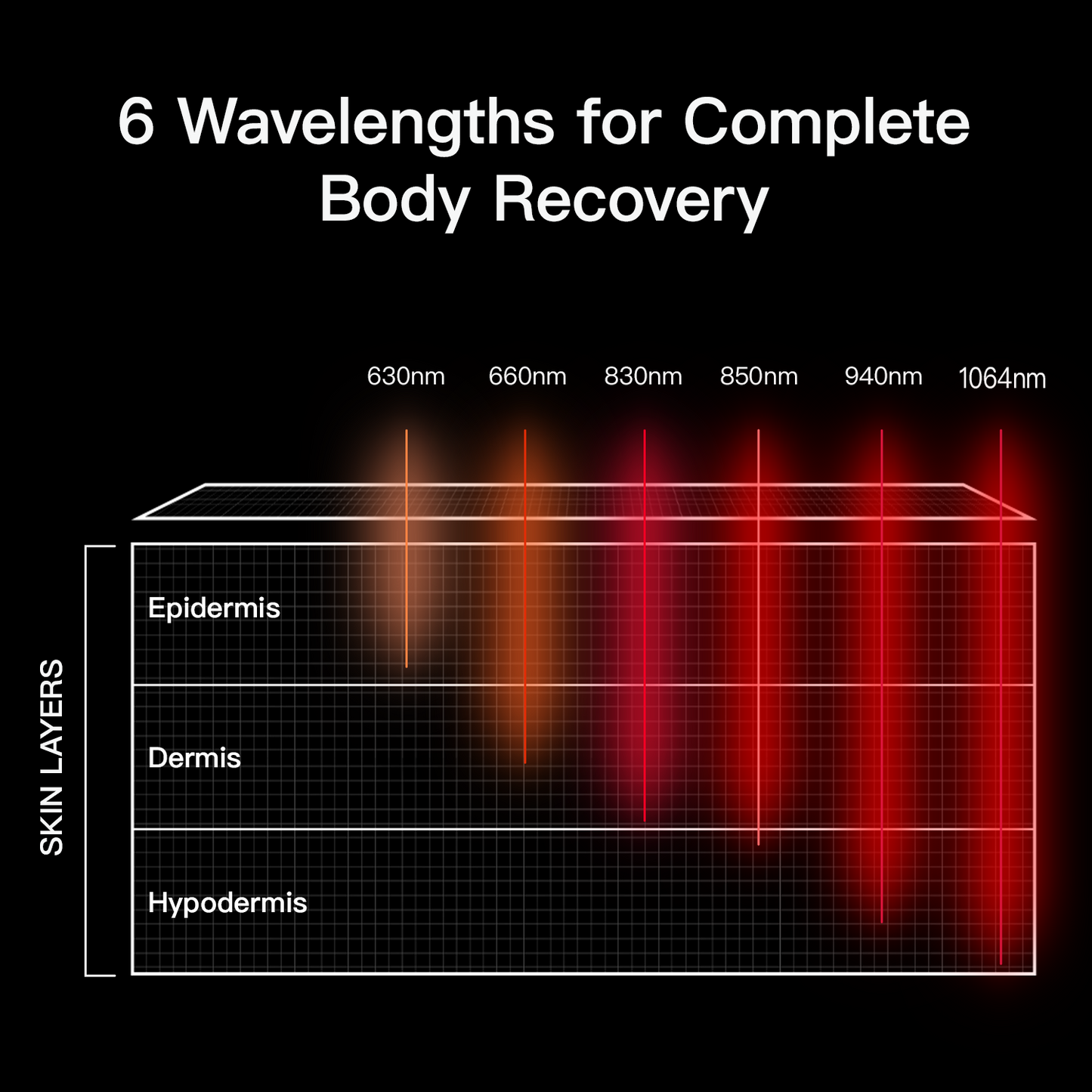 LASER&LED Light Therapy Bag