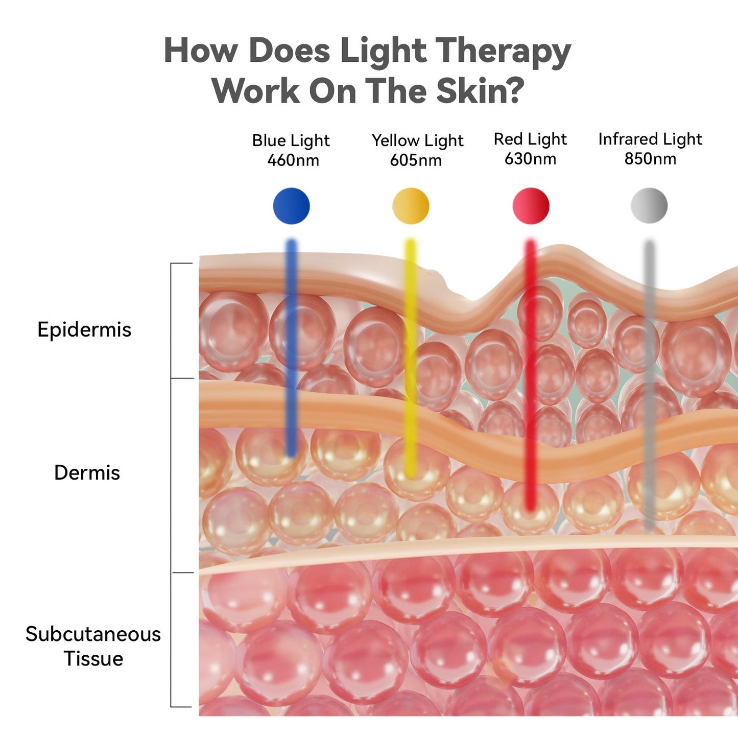 Multi-functional LED Light Therapy Belt