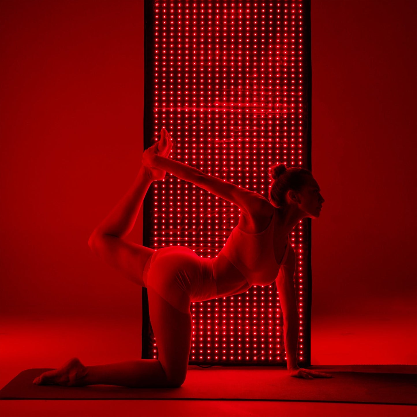 Red and Infrared Light Therapy Bag